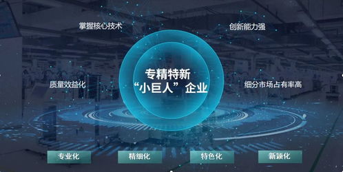 玄羽科技榮膺國家級“專精特新”小巨人企業，引領工業互聯網數據服務新篇章